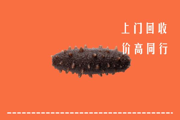吕梁高价回收海参